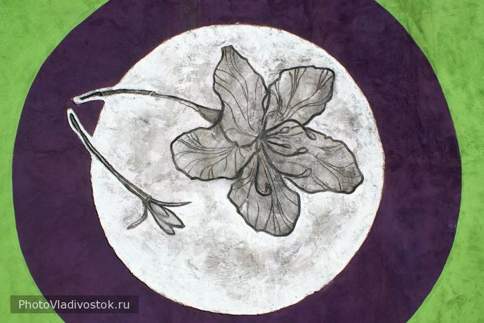 Фрагмент стены ост. Молодёжная