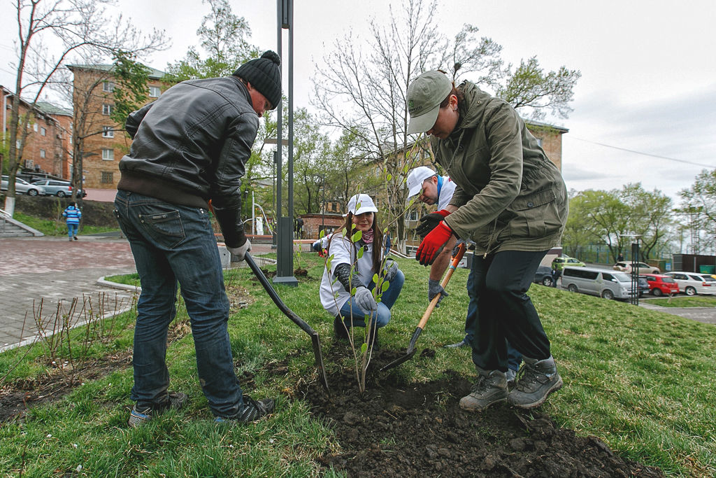 Магнолии высадили в сквере Веры и надежды