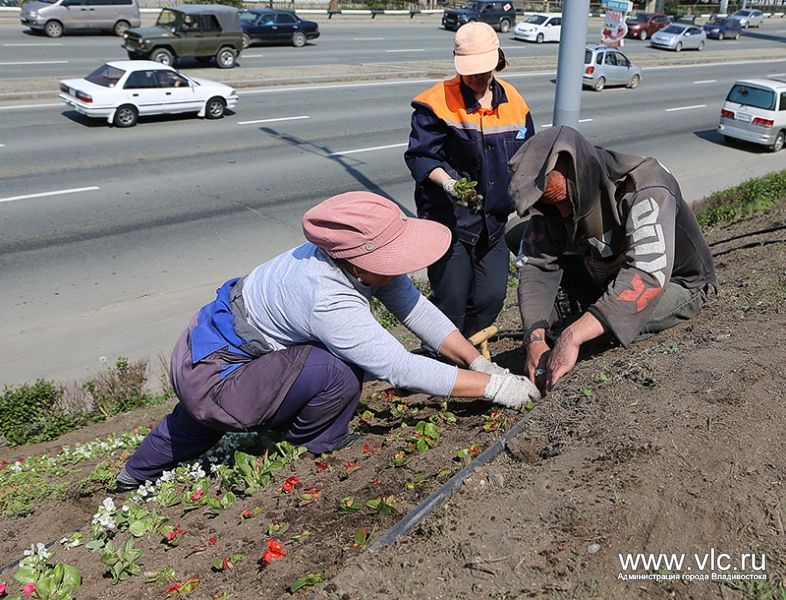 Цветы снова украсили надпись &laquo;Владивосток&raquo; в районе "Молодежной"