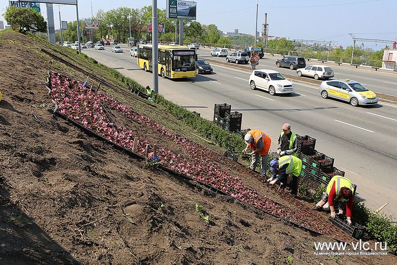 Цветы снова украсили надпись &laquo;Владивосток&raquo; в районе "Молодежной"