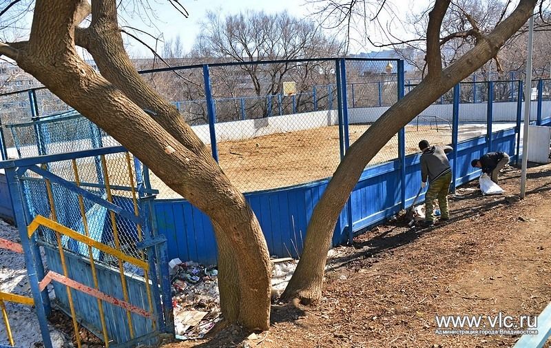 Хоккейные коробки на лето сменят назначение Хоккейные коробки на лето сменят назначение