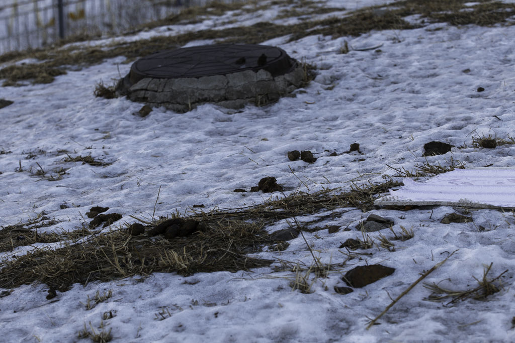 Снеговая Падь