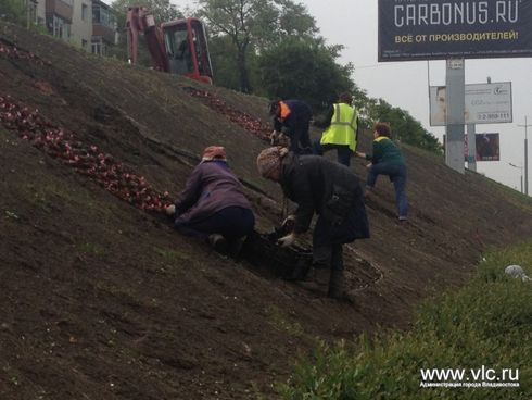 Цветочная надпись на "Молодежной"