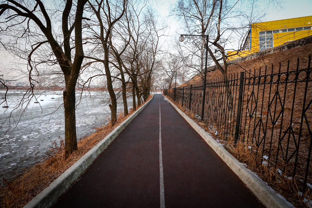 Беговая дорожка