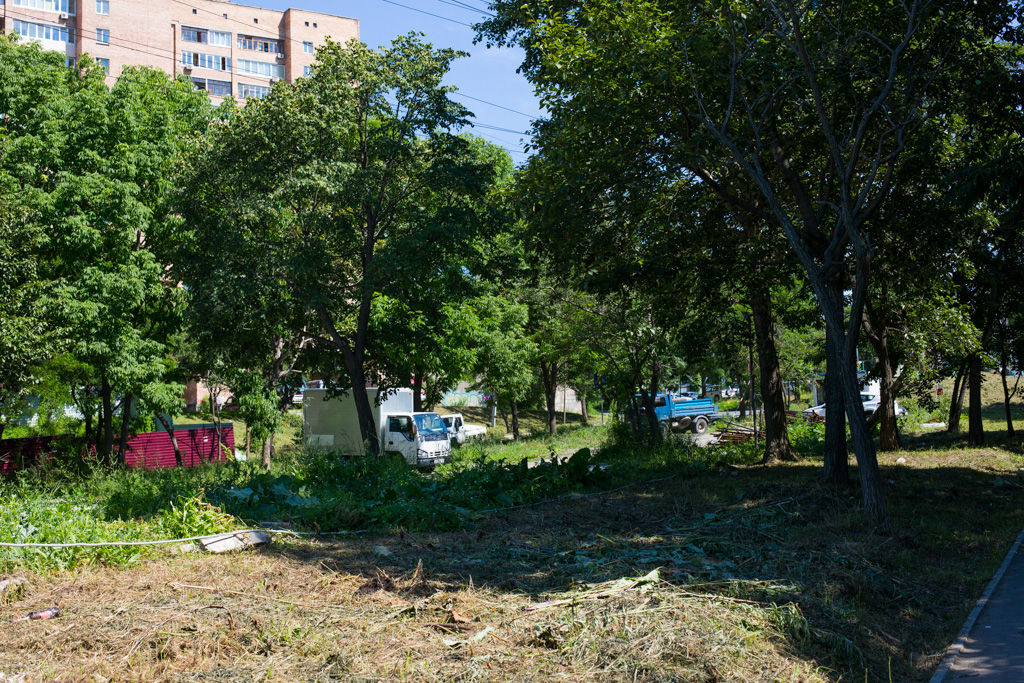 Жители близлежащих домов давно ждут сноса стоянки