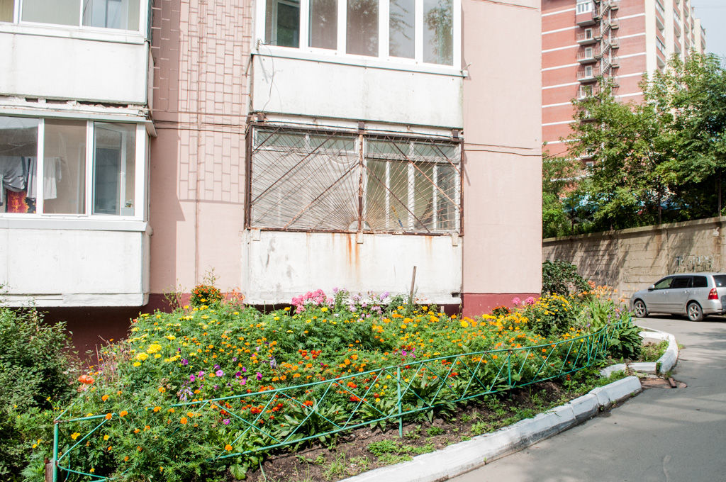 Разнообразие цветов