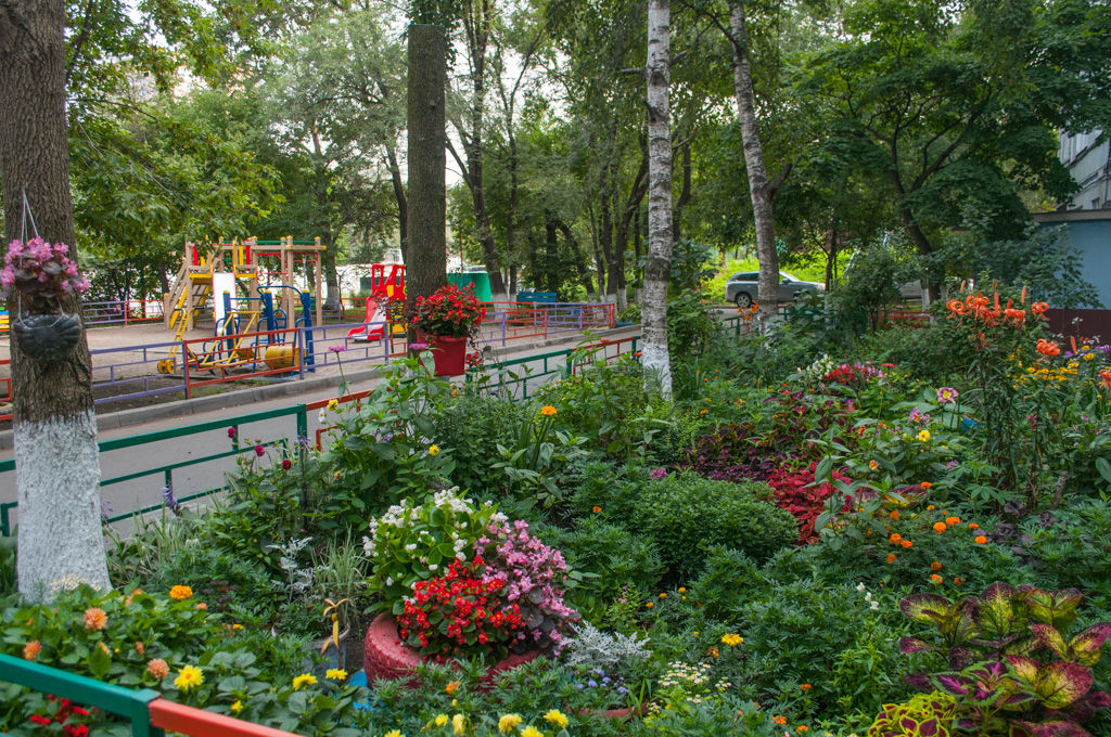 Целый сад развернулся во дворе дома №7 на улице Гамарника