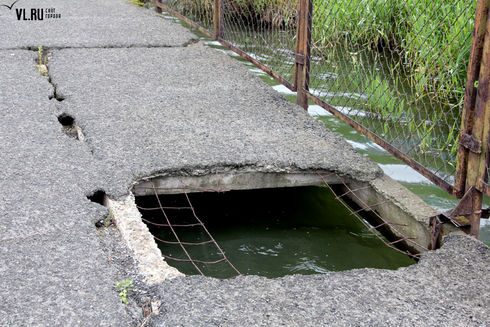 Беговая дорожка. Автор фото: vl.ru