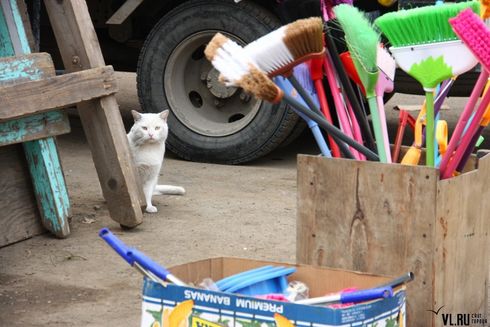 Рынок на стадионе "Строитель" сносят